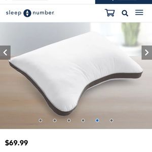 Sleep number pillow